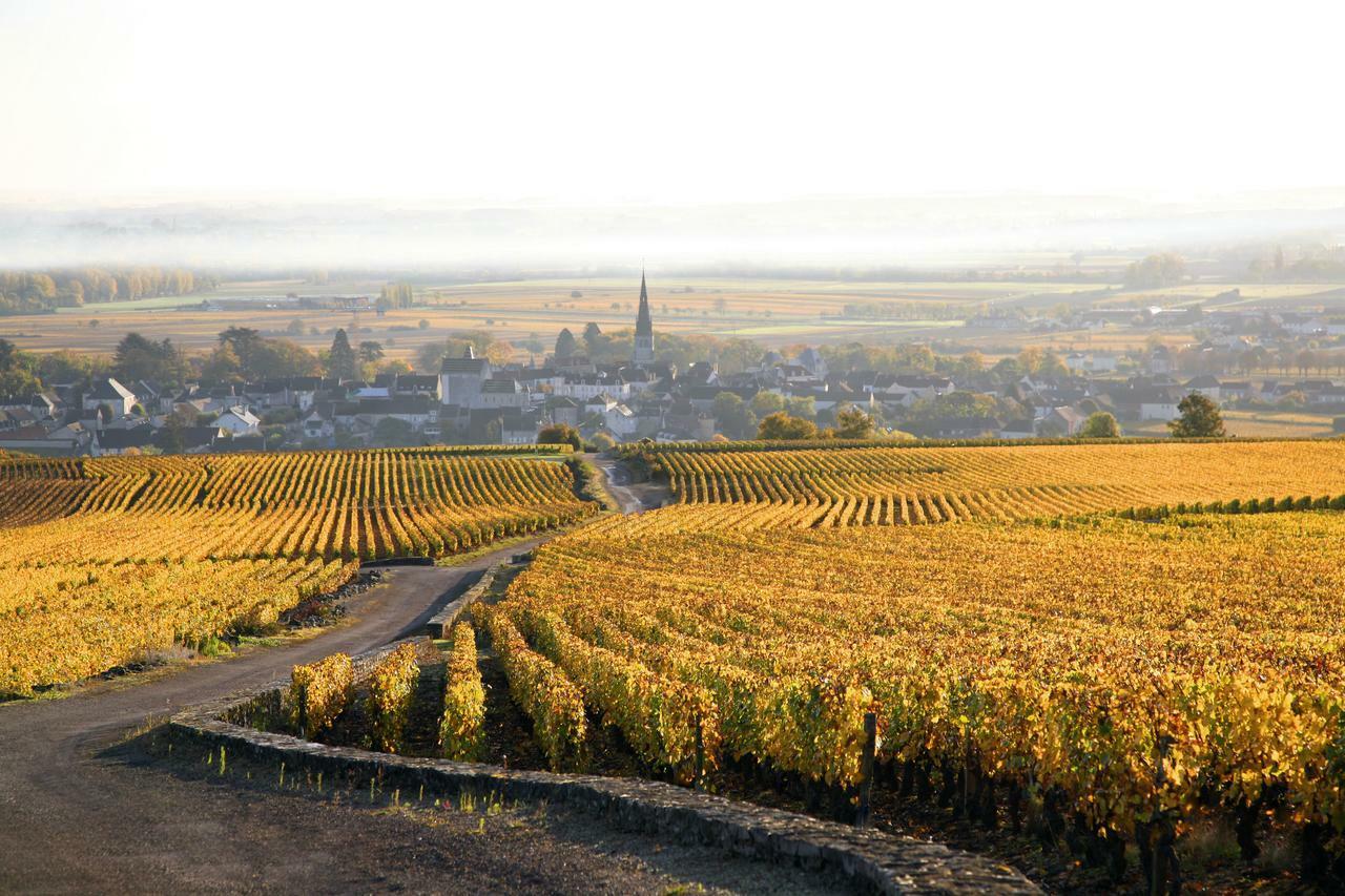 Clos Saint Jacques - Maison D'Hotes Meursault Esterno foto